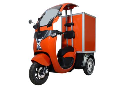 OAK Series Electric 3 Wheeler